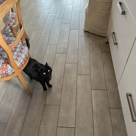 Bienvenue Chez Eve En Bourgogne 2 Beaune (Cote d'Or)