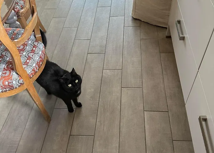 Bienvenue Chez Eve En Bourgogne 2 Beaune (Cote d'Or)